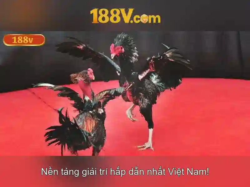 💎các trang game cá cược uy tín💎 💎các trang game cá cược uy tín💎