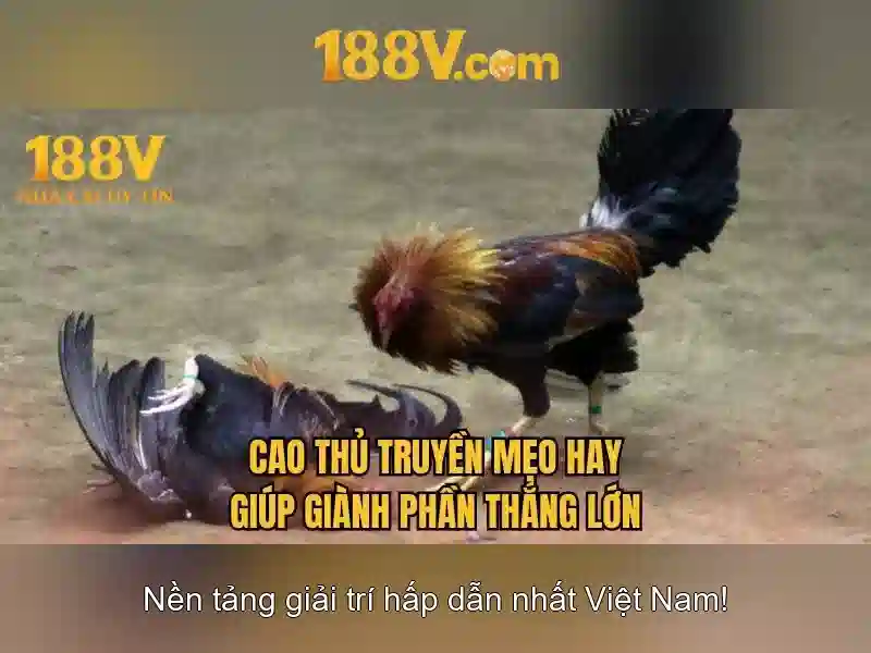 💎slot gembel 247💎 💎slot gembel 247💎