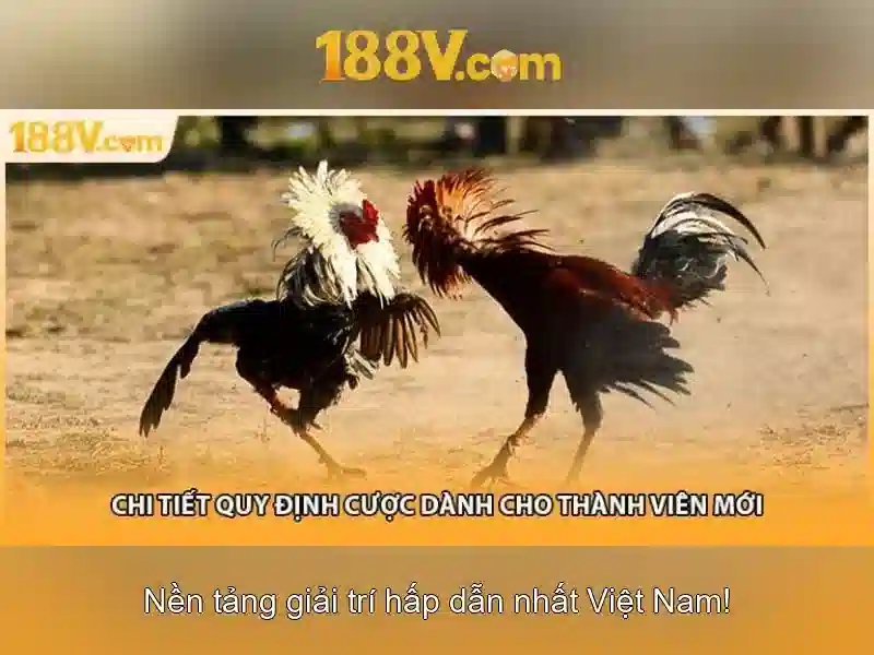 💎kq ca cuoc bong da💎 💎kq ca cuoc bong da💎