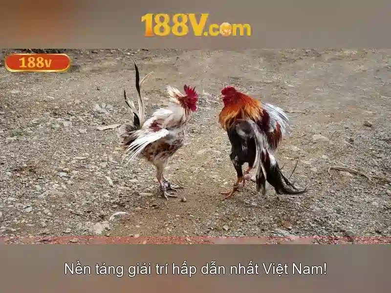 💎best rated slots💎 💎best rated slots💎