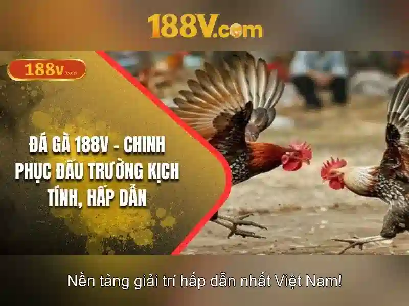 💎free slot money train 2💎 💎free slot money train 2💎