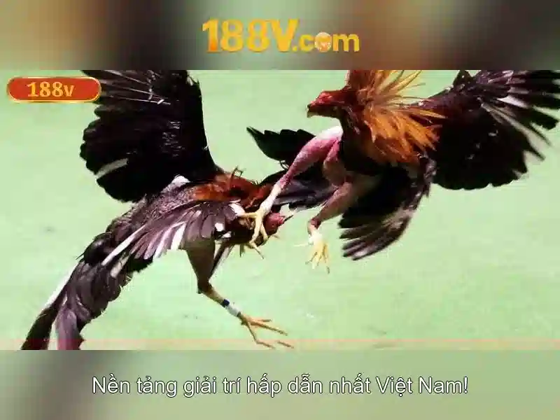 💎trương ngọc tú đánh bạc💎 💎trương ngọc tú đánh bạc💎