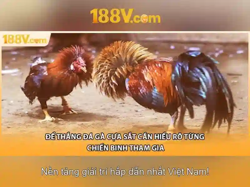 💎truc tiep world cup 2022 keo nha cai💎 💎truc tiep world cup 2022 keo nha cai💎