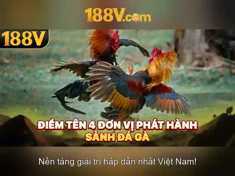 💎get clucky slots real money💎 💎get clucky slots real money💎