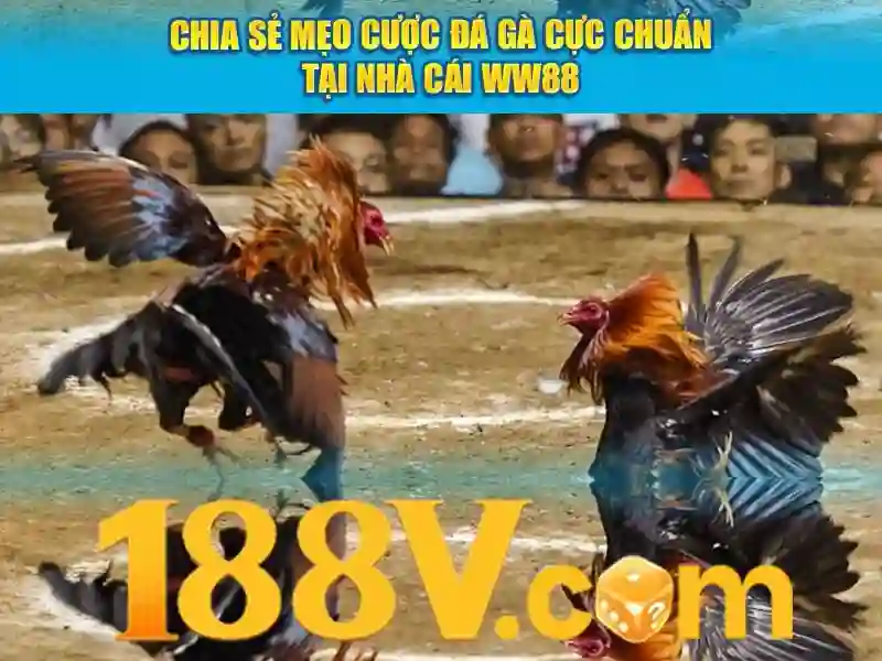 bắn cá 24/7 - 188V bắn cá 24/7 - 188V