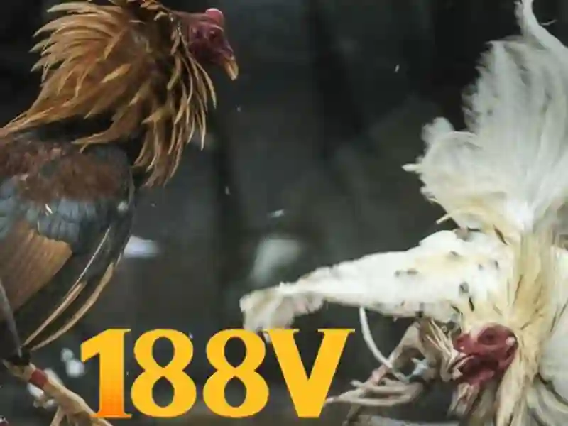 💎english slots💎 💎english slots💎